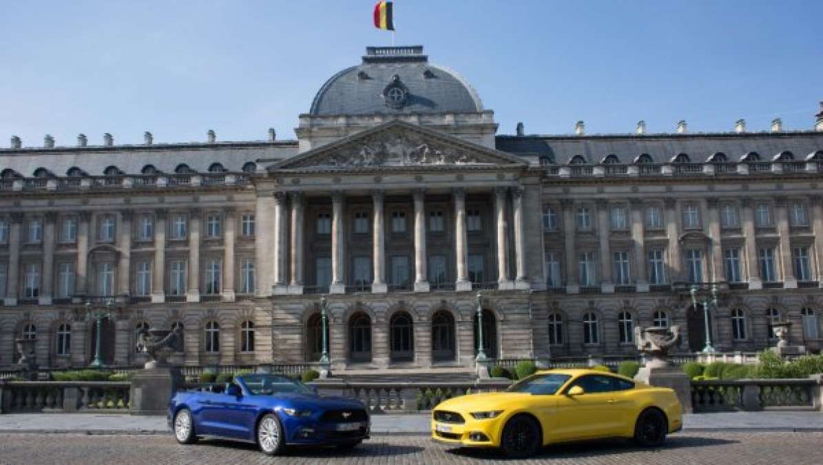 Ford Mustangs in Belgium