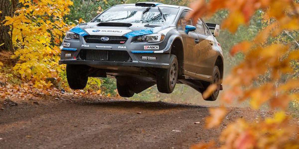 2016 Subaru WRX STI, Rally America, 2016 Lake Superior Performance Rally, David Higgins