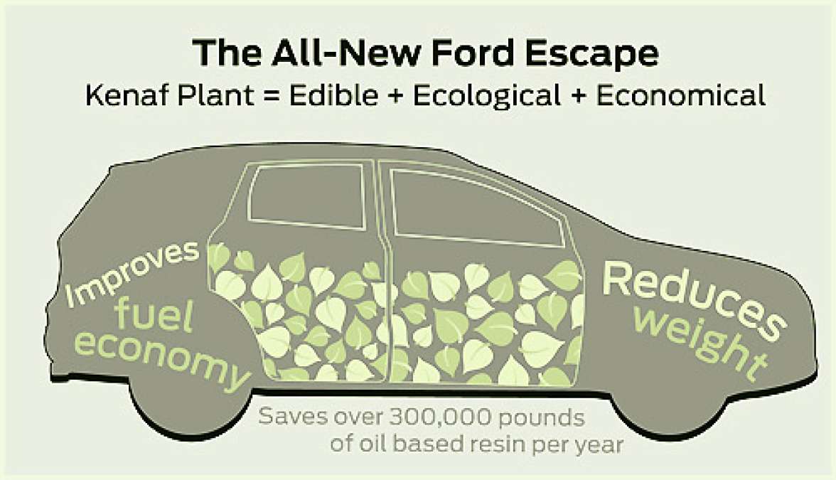 A graphic illustrating the use of Kenaf in the doors of the Ford Escape. 