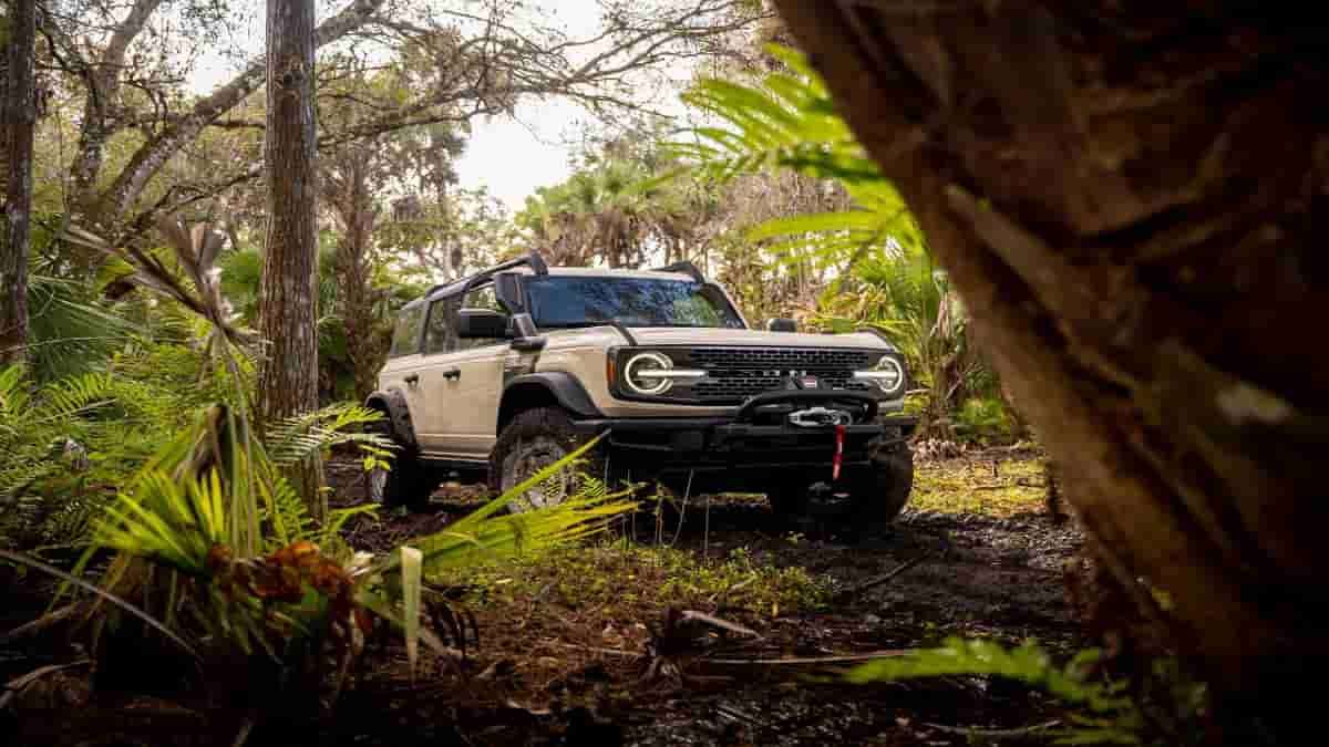 Ford's Everglades Edition Lets Go Further Off The Grid Than Ever