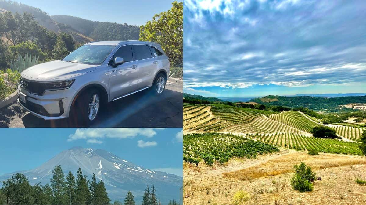 Silver Kia Sorento PHEV, vineyards, and Mount Shasta