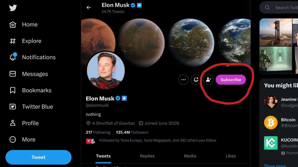 Elon Musk Twitter Page