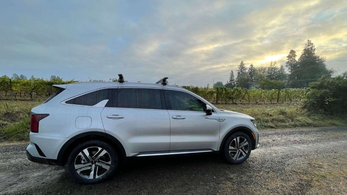 Silver Kia Sorento PHEV in front of Oregon vineyards