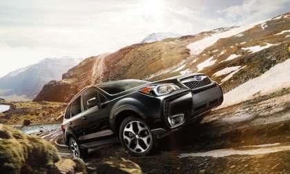 2014 Subaru Forester in Forester Family Rally
