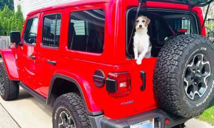 Why Pet Lovers Love Their 2022 Jeep Wranglers