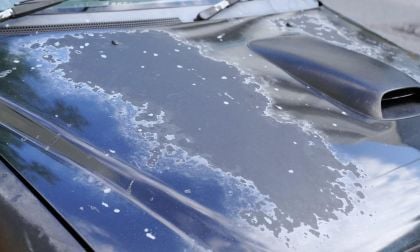 Consumer Reports Identifies Cars With Paint Peeling History