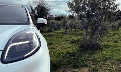 Olive Tree Waste May Help Build Future Cars