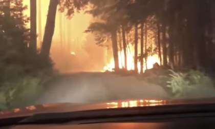 2019 Subaru Legacy, son and father drive through flames to escape forest fire