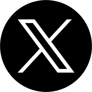 The X icon