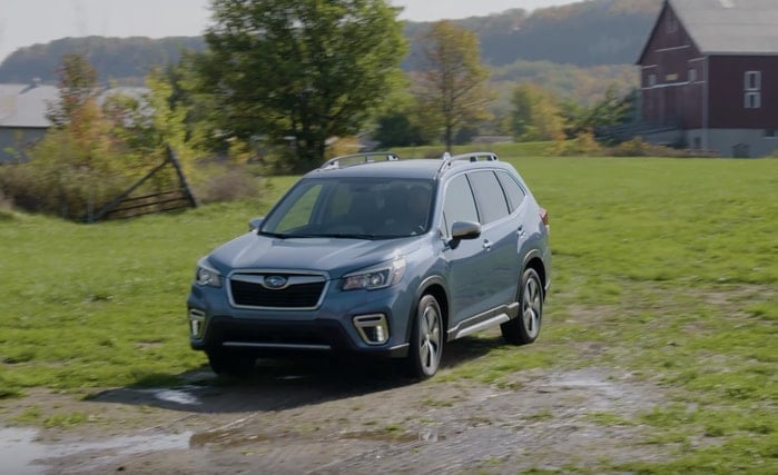 2019 Subaru Forester