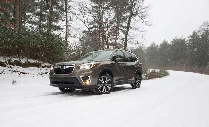 Forester in snow image by John Goreham