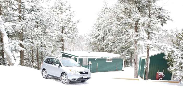 Forester in snow image by John Goreham