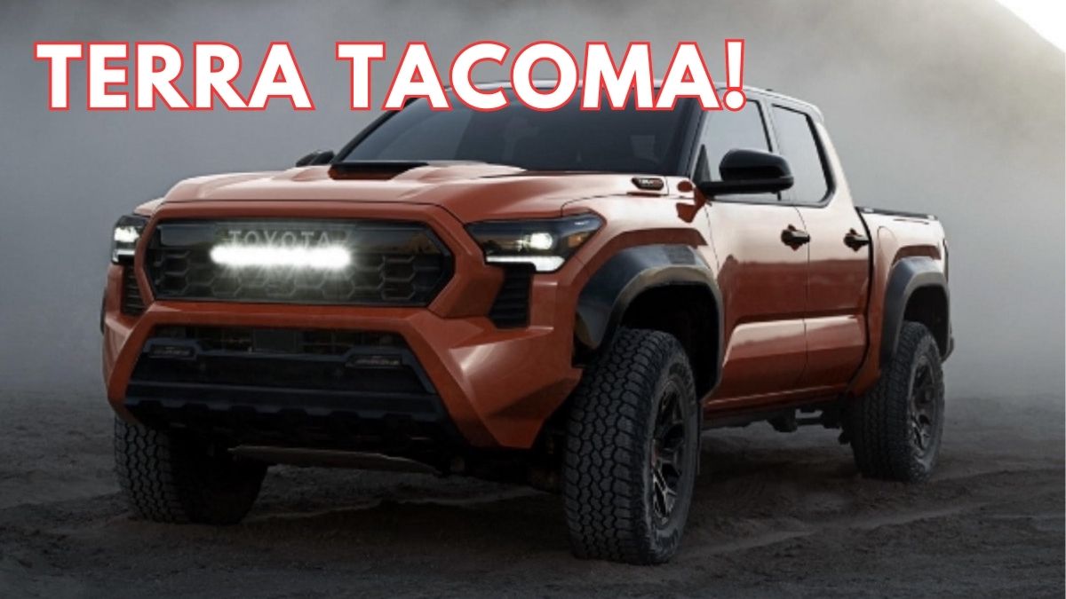 2025 Tacoma Colors Terra