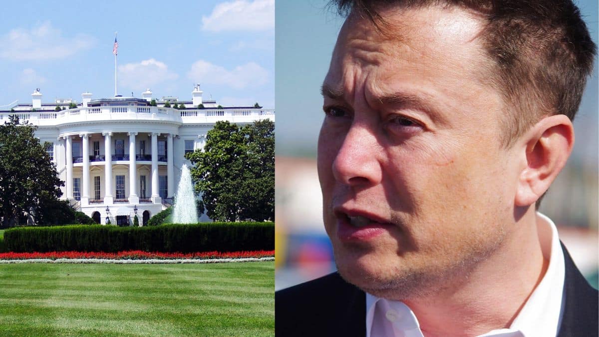 Tesla CEO Elon Musk and White House Advisors in Talks to Revolutionize EV Industry Torque News