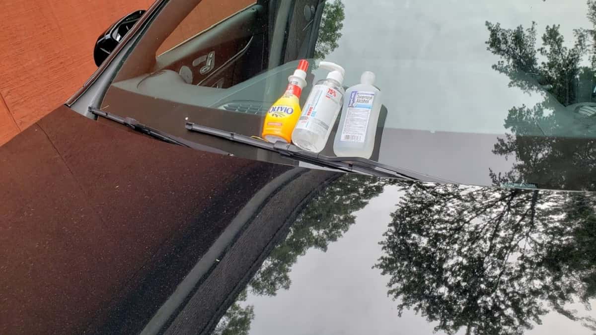 3 ways to remove tree sap from your car