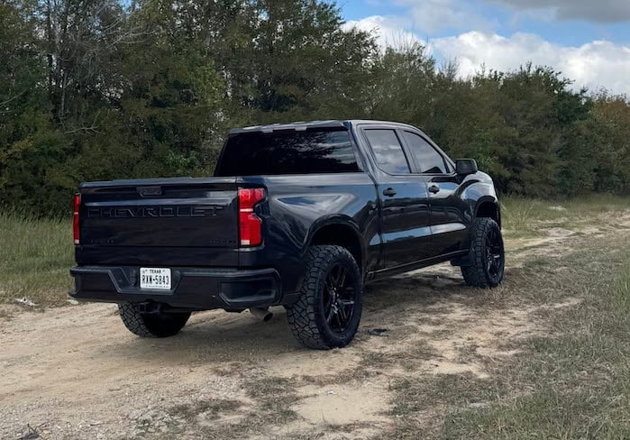 Palma Salazar's 2022 Chevy Silverado 2WD rear view