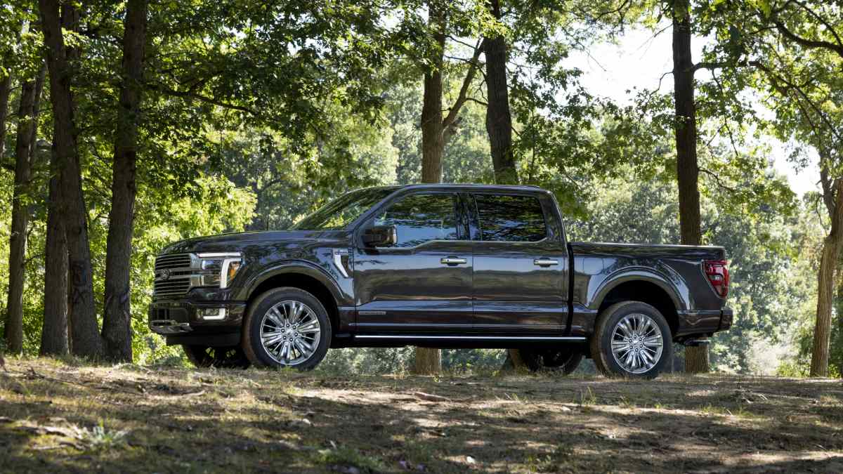 Gray 2024 Ford F-150 Platinum shown in side profile parked in a wooded setting, highlighting full-size pickup proportions.