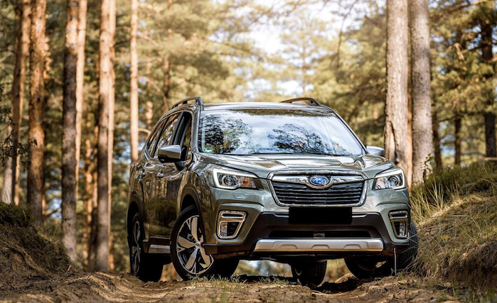 2024 Subaru Forester in the woods