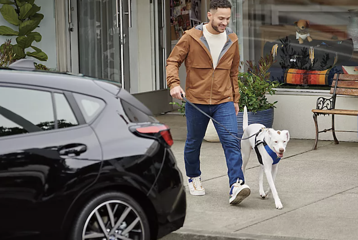 2024 Subaru Impreza with customer and his dog