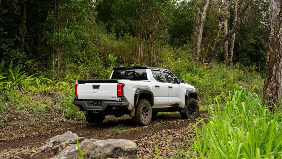 A white 2024 Toyota Tacoma pickup truck shown from the rear three-quarter view, parked on a rugged trail surrounded by lush tropical forest vegetation.