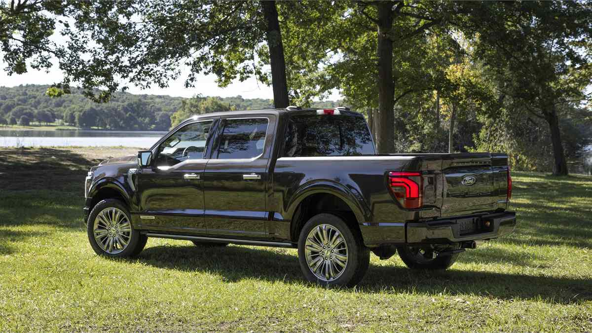 Gray Ford F-150 Platinum pickup truck parked on grass near a lake, showing rear three-quarter view, chrome wheels, and upscale exterior styling.