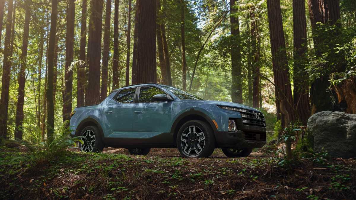 Blue pickup truck parked in a sunlit forest with tall trees and greenery.