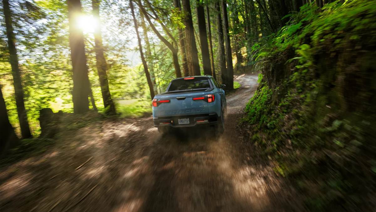 A blue pickup truck driving on a dirt road through a sunlit forest.