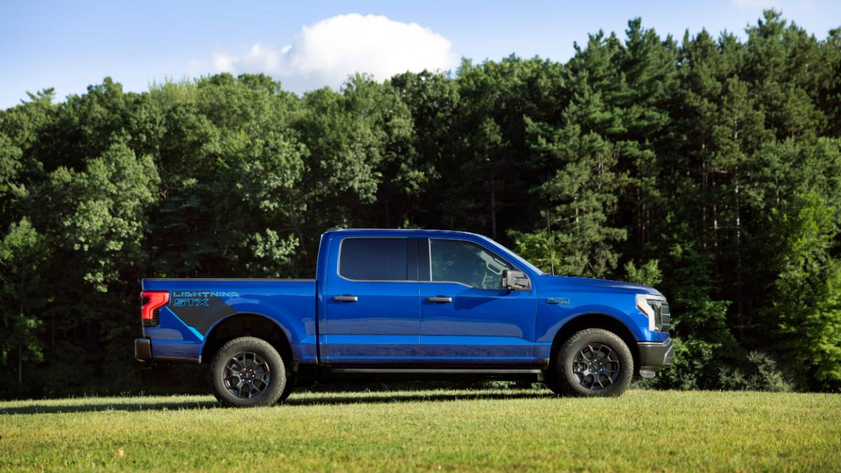 Blue Ford F-150 pickup truck parked on grass with dense forest backdrop