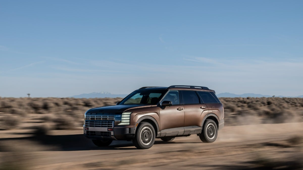 A user seeks help on a forum about their Hyundai Palisade's cruise control issues, specifically related to their wife’s driving.