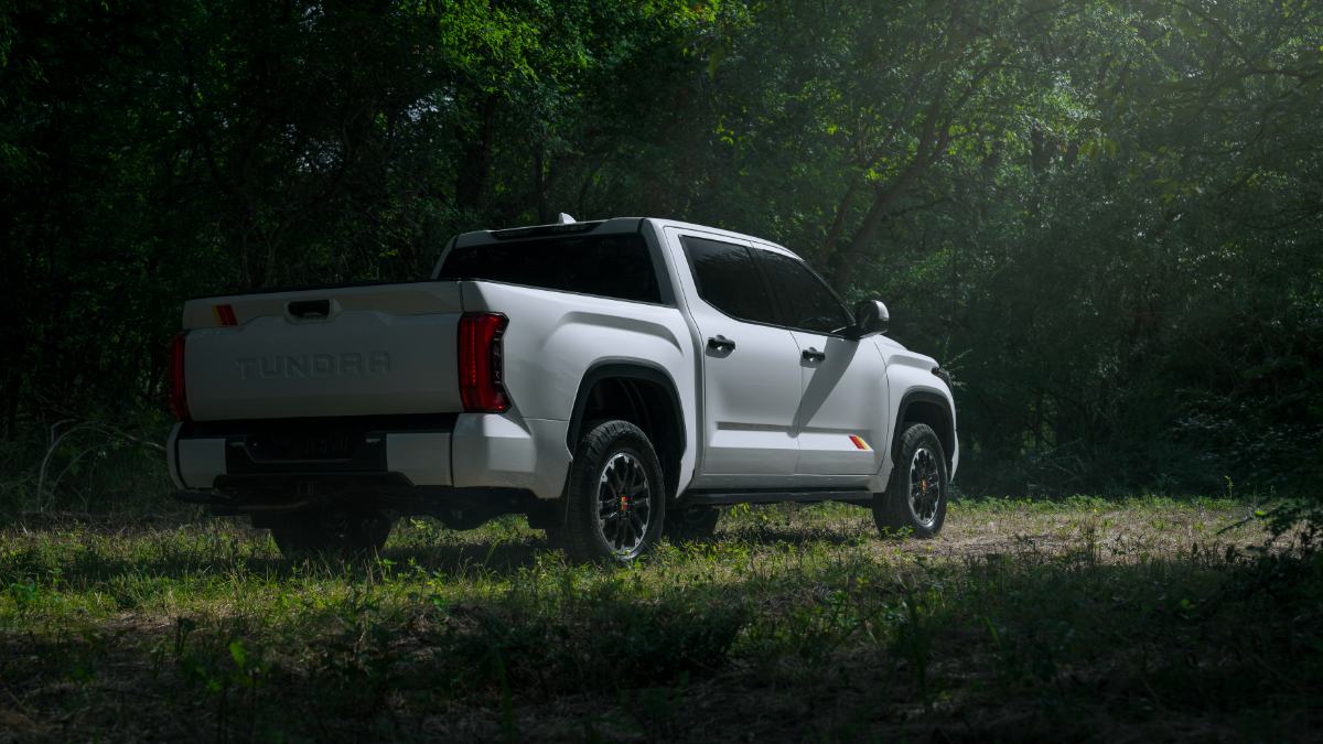 A white 2026 Toyota Tundra pickup truck shown from the rear three-quarter view, positioned in a wooded setting with dramatic natural lighting filtering through the trees.