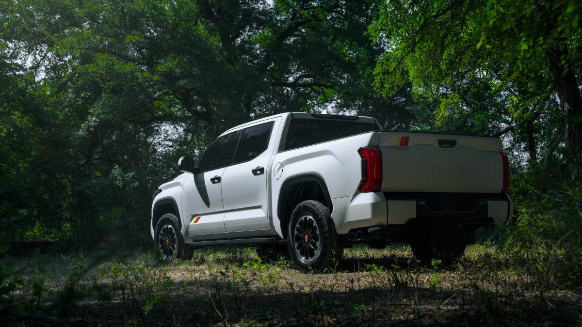 2026 Toyota Tundra TRD Platinum in white, parked on forest ground with rugged black wheels and side accent stripes