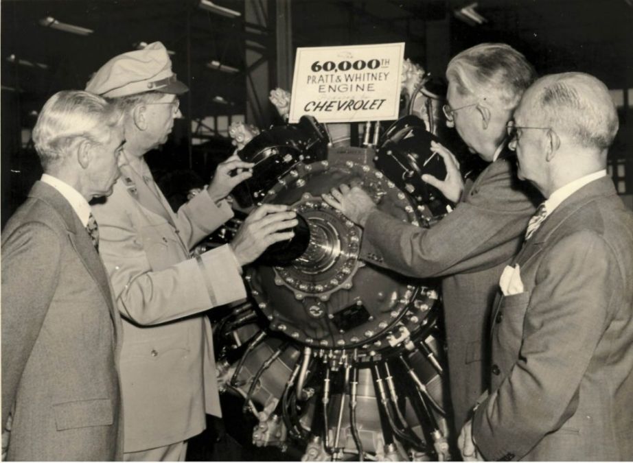 Archival image of GM plant courtesy of GM