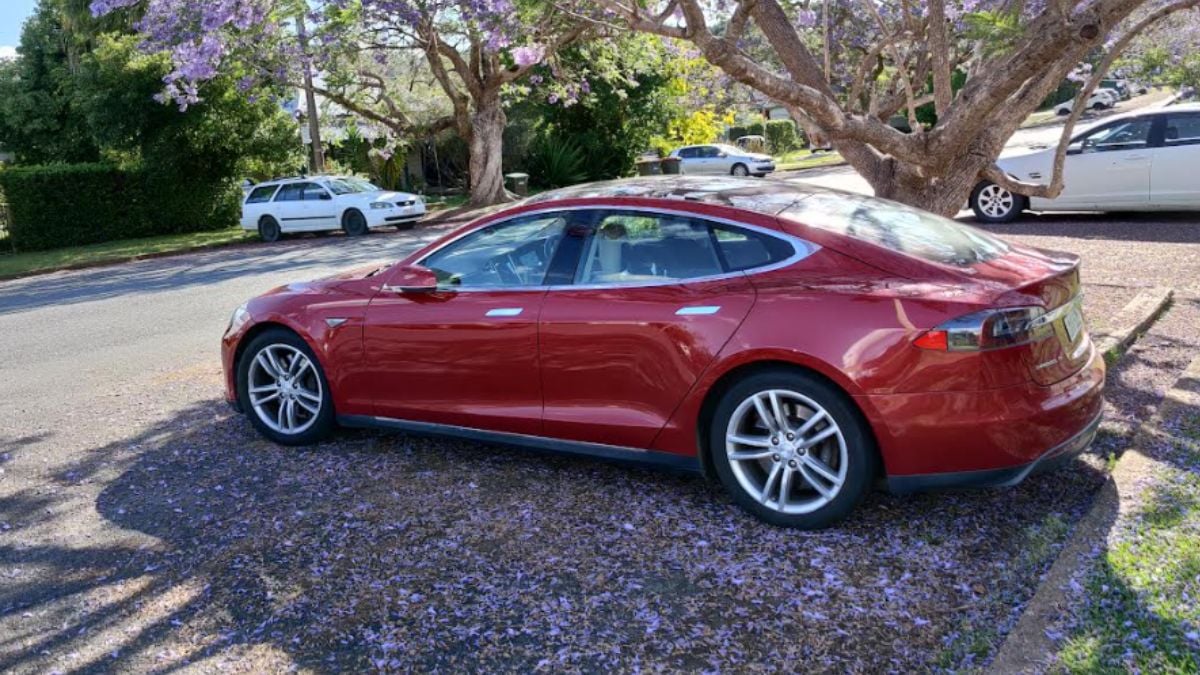 A red Tesla Model S is parked on a street under a tree. Purple flowers blanket the ground, and the scene conveys a peaceful, sunny atmosphere.