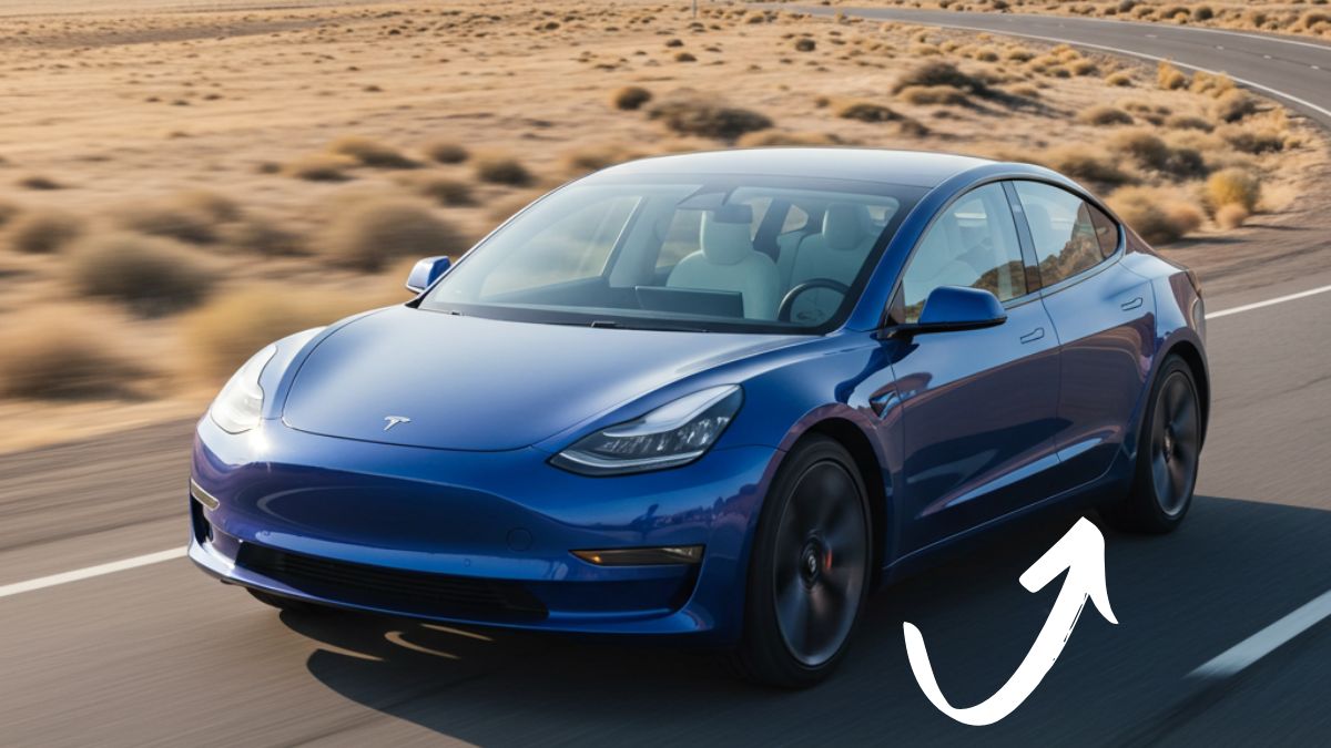 Tesla Model 3 driving Long Distance