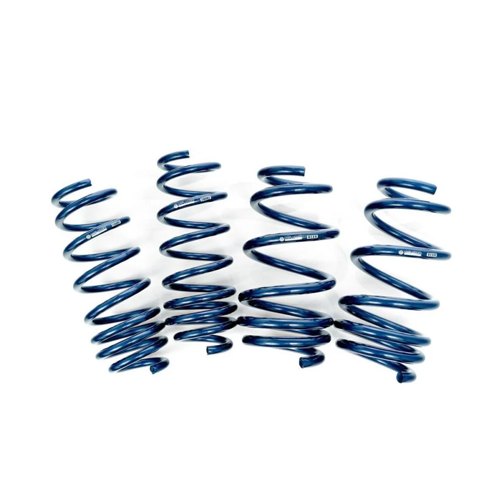 Tesla Model 3 dual rate lowering spring set