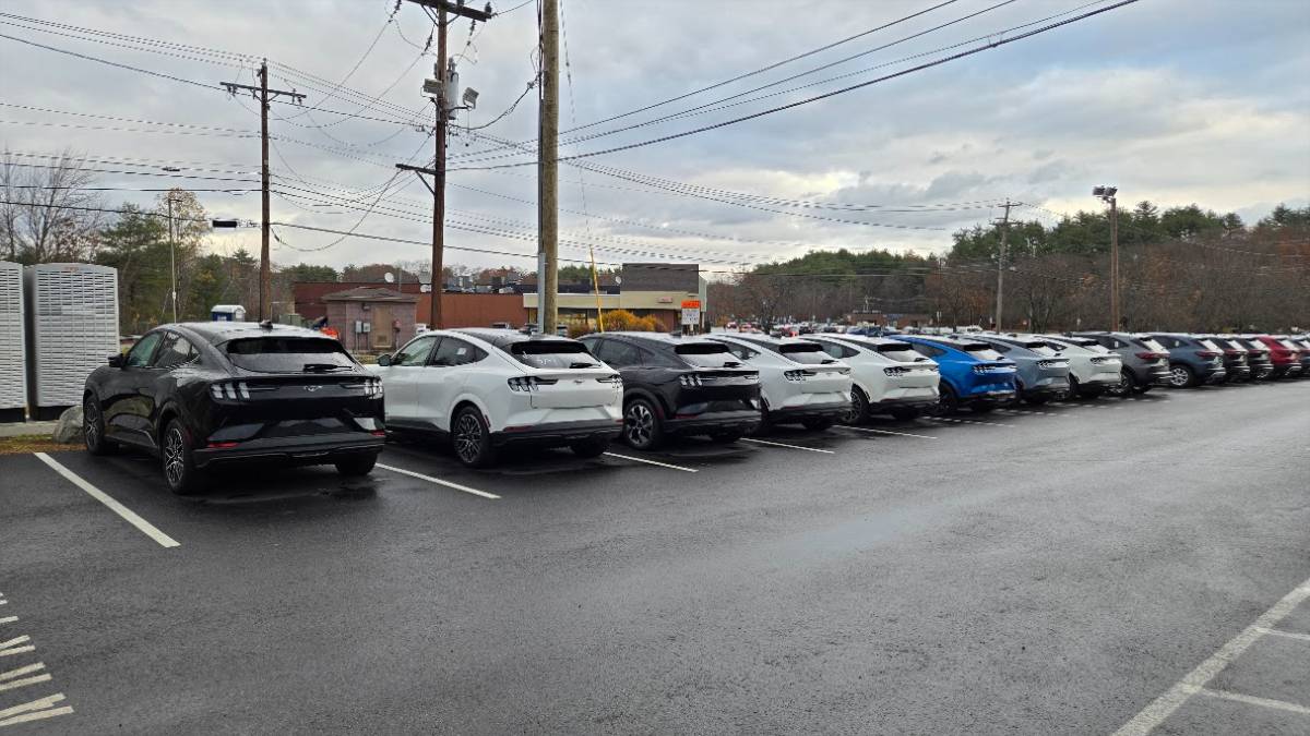 Ford Mustang Mach-Es at a Ford Dealership
