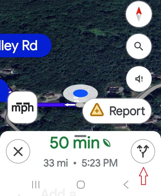 Google Maps route icon