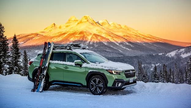 Asset d952058f-6b23-414b-b0fe-f69303a4bbdd