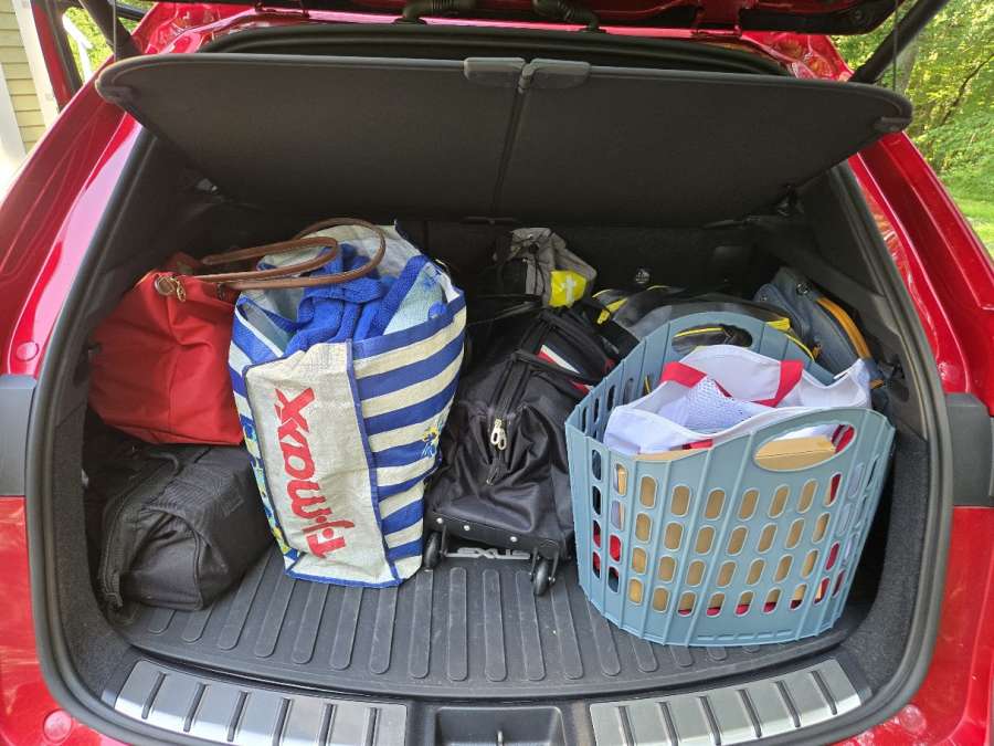 Lexus NX cargo area