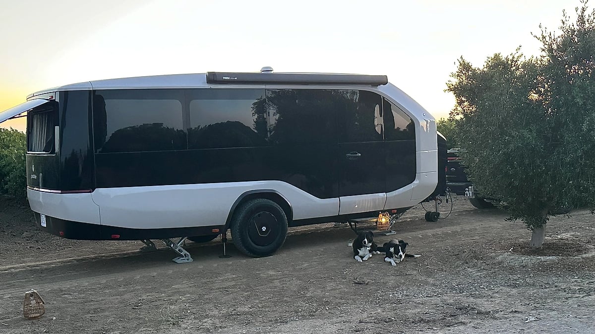 White Pebble Flow travel trailer parked at a campsite with two dogs resting beside it at dusk.