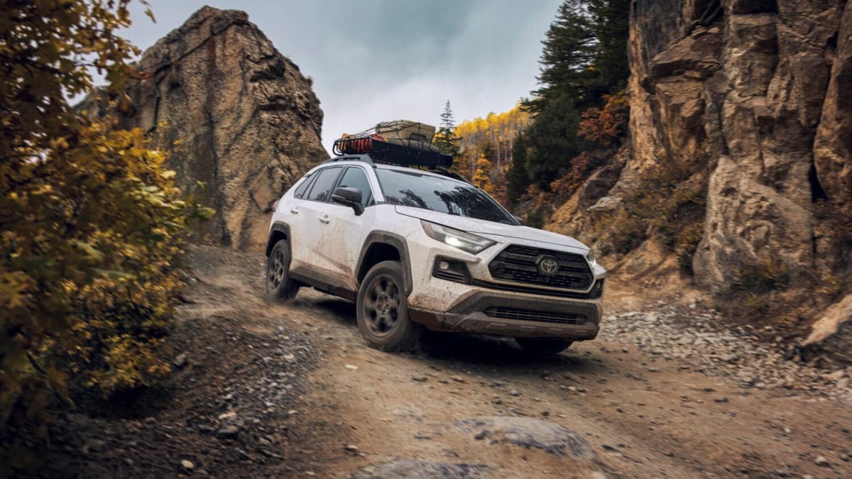 Common Problems With 20192024 Toyota RAV4 Torque News