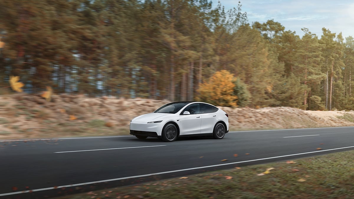 White Tesla Model Y driving on a paved road past pine trees in an autumn forest.