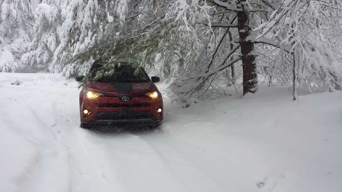 RAV4 in snow image by John Goreham