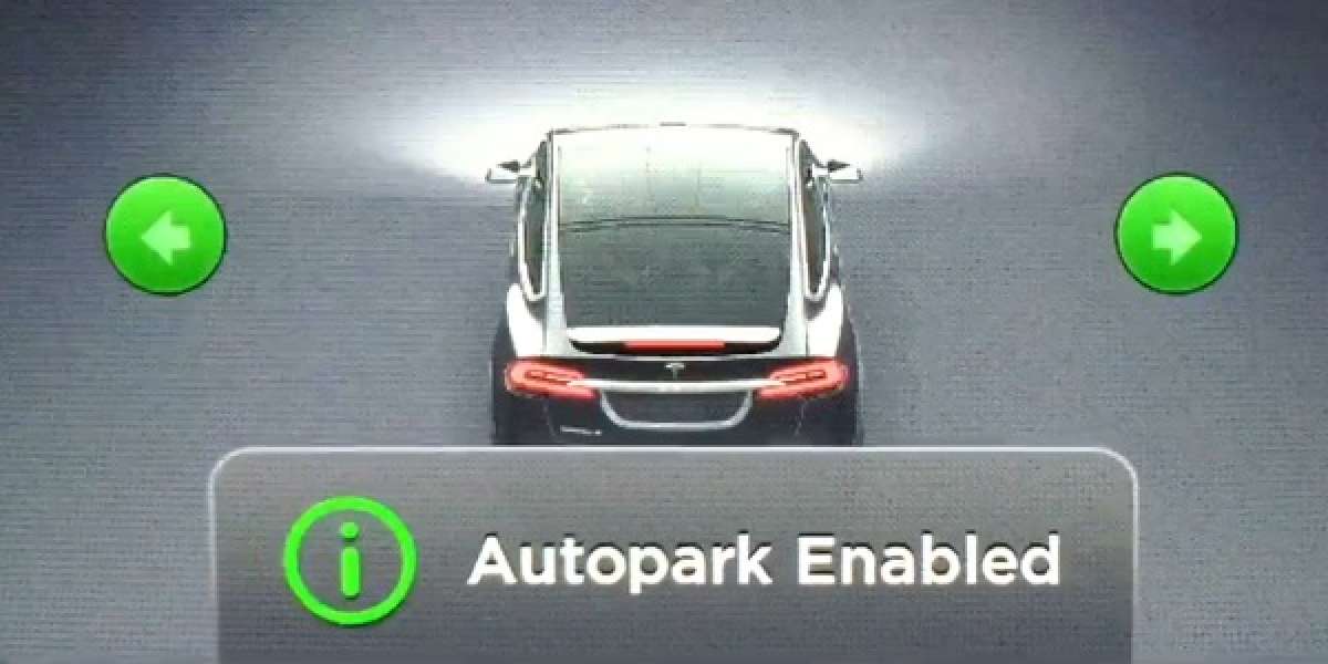 Tesla Auto Park