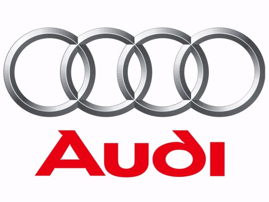 An embarrassed Audi CEO, Rupert Stadler, discussed the automaker's financial device as authorities raided VW, Audi sites in the ongoing Dieselgate scandal.