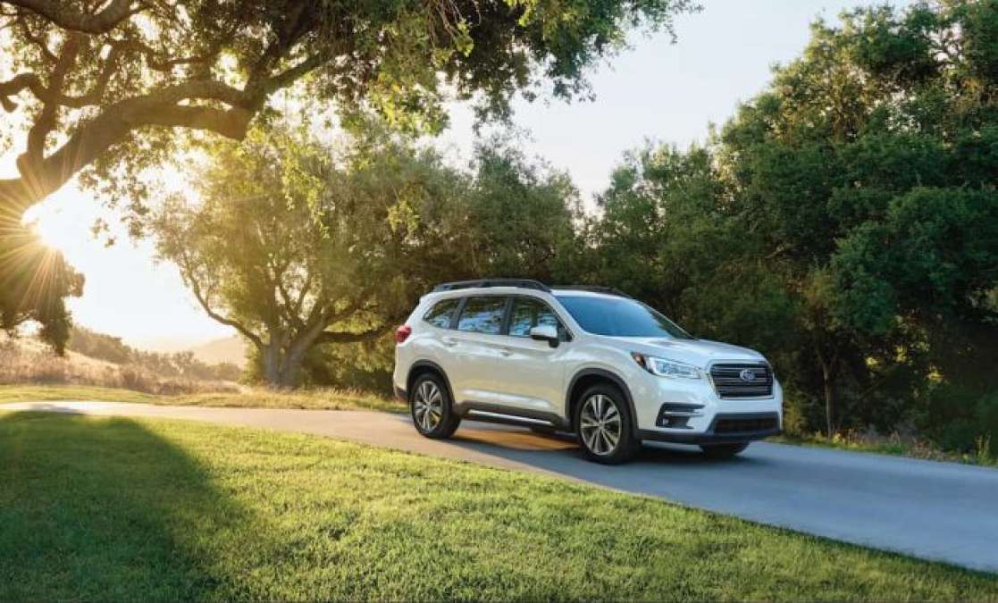 2019 Subaru Ascent 3-Row Crossover, New Subaru SUV, pet safety 