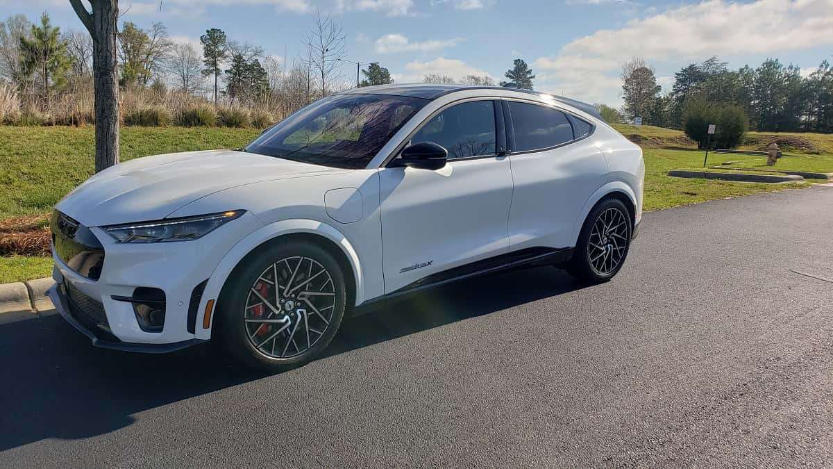 Tesla Model Y Reigns Supreme Despite Ford's Price Cuts