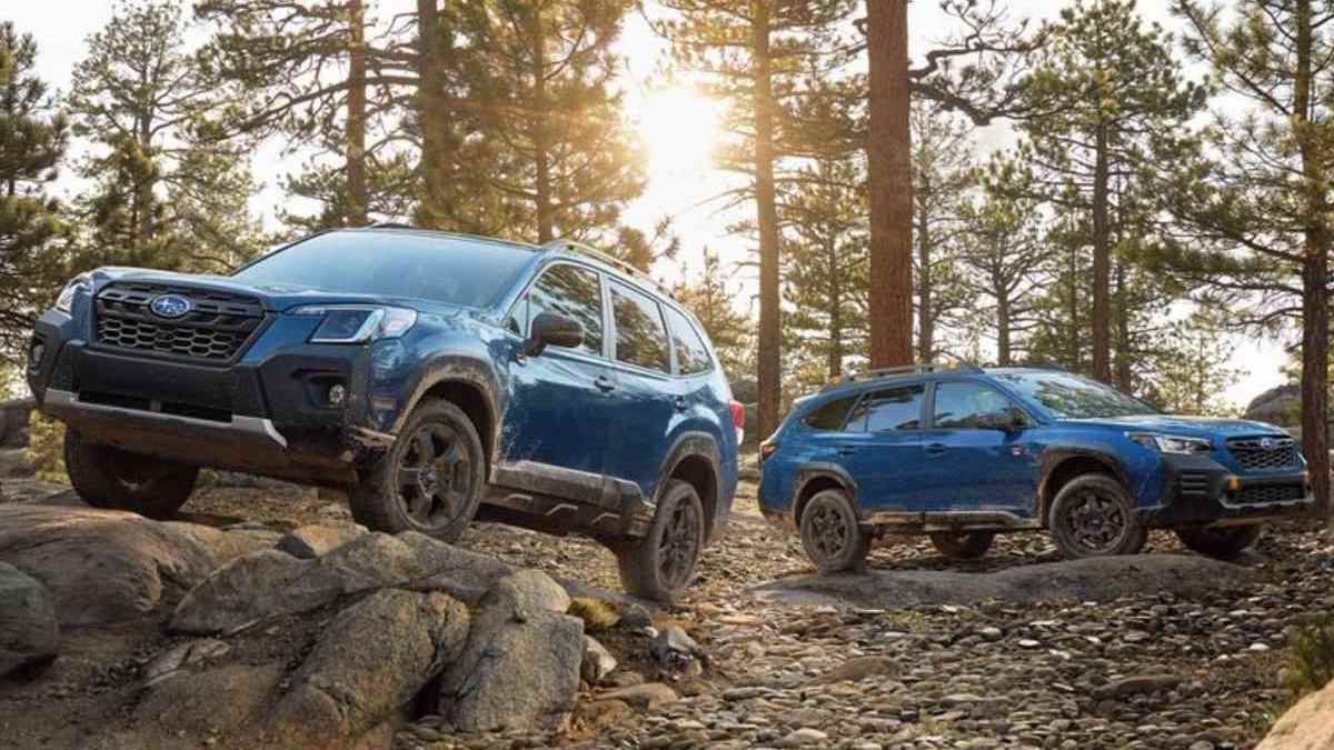 2024 Subaru Forester Wilderness Vs. 2024 Outback Wilderness