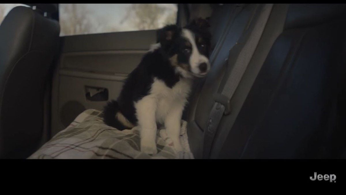 Why pets and their owners will love the 2024 Jeep Grand Cherokee L