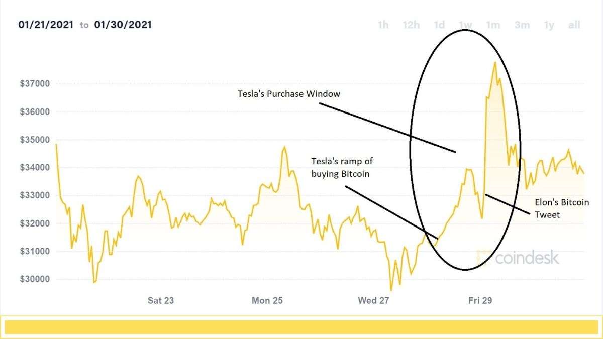 Bitcoin price chart, Elon Musk, January, 2021